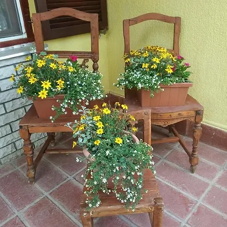 Bazsi * Hajduszoboszlo