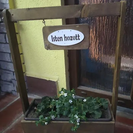 Bazsi * Hajdúszoboszló